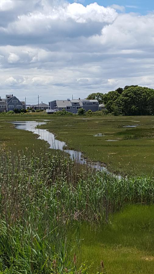 A Cape Cod Ocean Manor Inn Хаянис Екстериор снимка